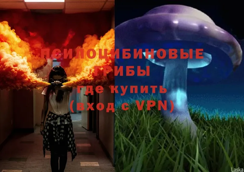 Галлюциногенные грибы Magic Shrooms  цена   Ладушкин 